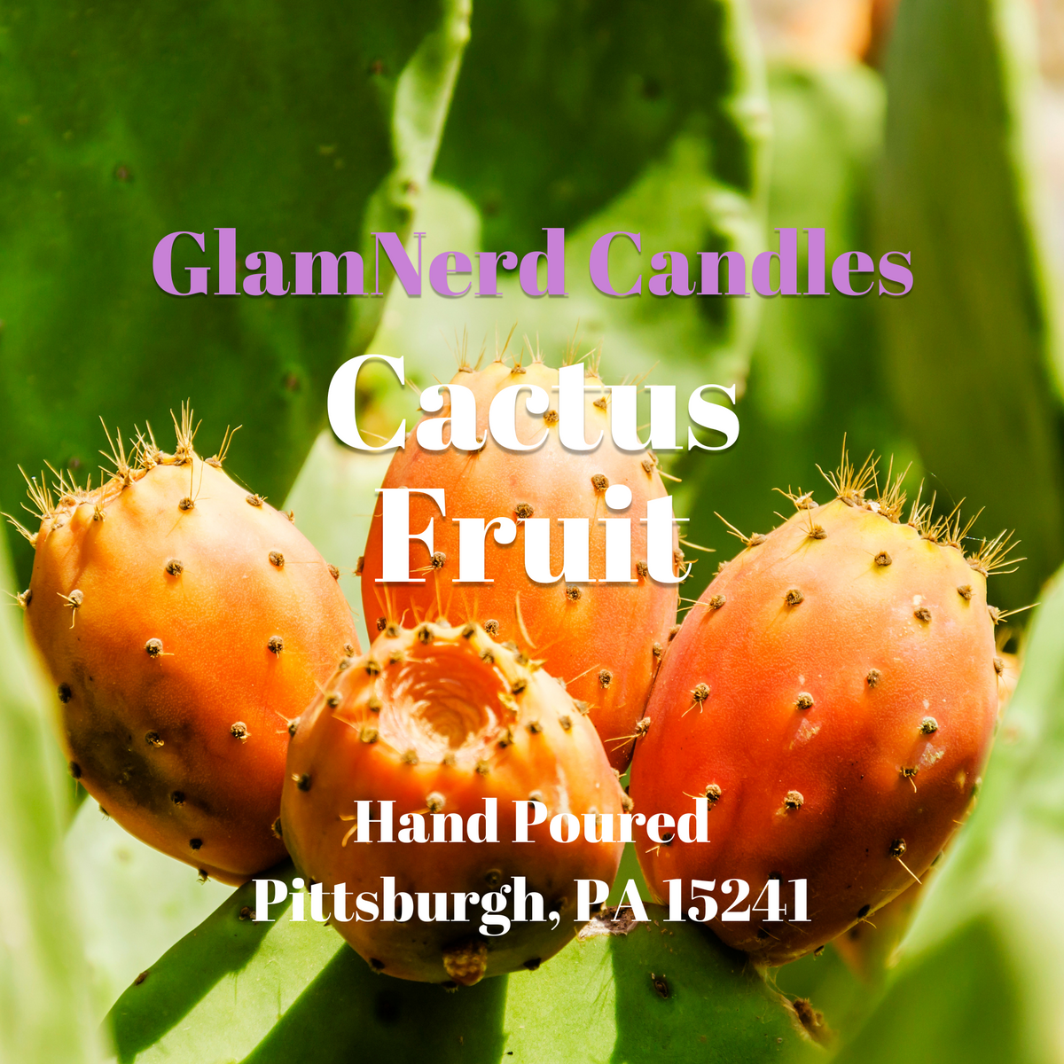 Cactus Blossom Candle
